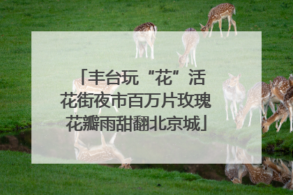 丰台玩“花”活 花街夜市百万片玫瑰花瓣雨甜翻北京城
